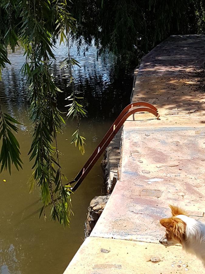Thandamanzi Self Catering Sabie Dış mekan fotoğraf