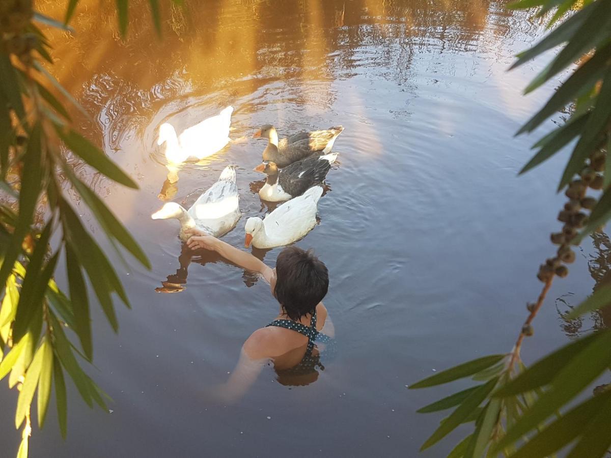 Thandamanzi Self Catering Sabie Dış mekan fotoğraf